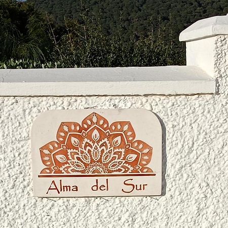 Alma Canos De Meca Los Canos De Meca Exterior photo